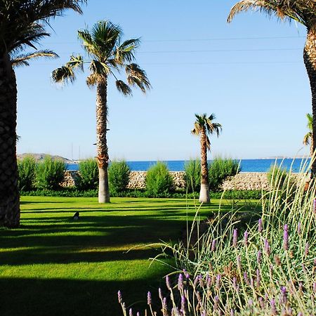 Villa Bellonia Zambujeira do Mar Dış mekan fotoğraf