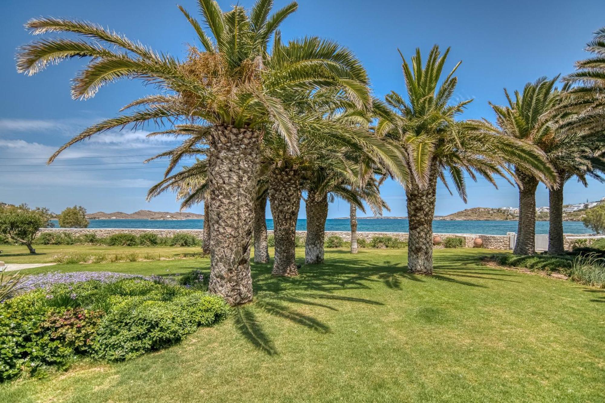 Villa Bellonia Zambujeira do Mar Dış mekan fotoğraf
