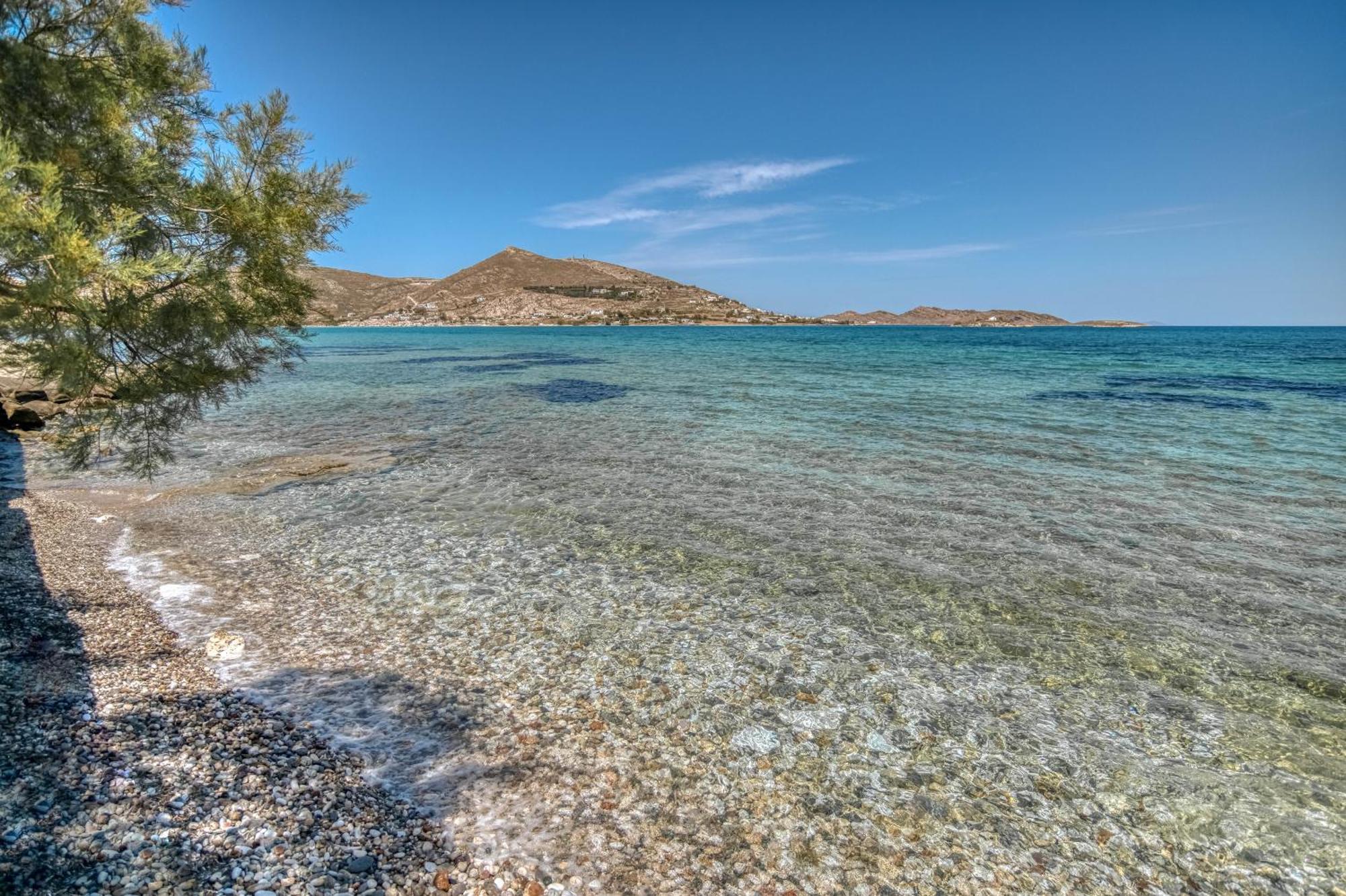 Villa Bellonia Zambujeira do Mar Dış mekan fotoğraf