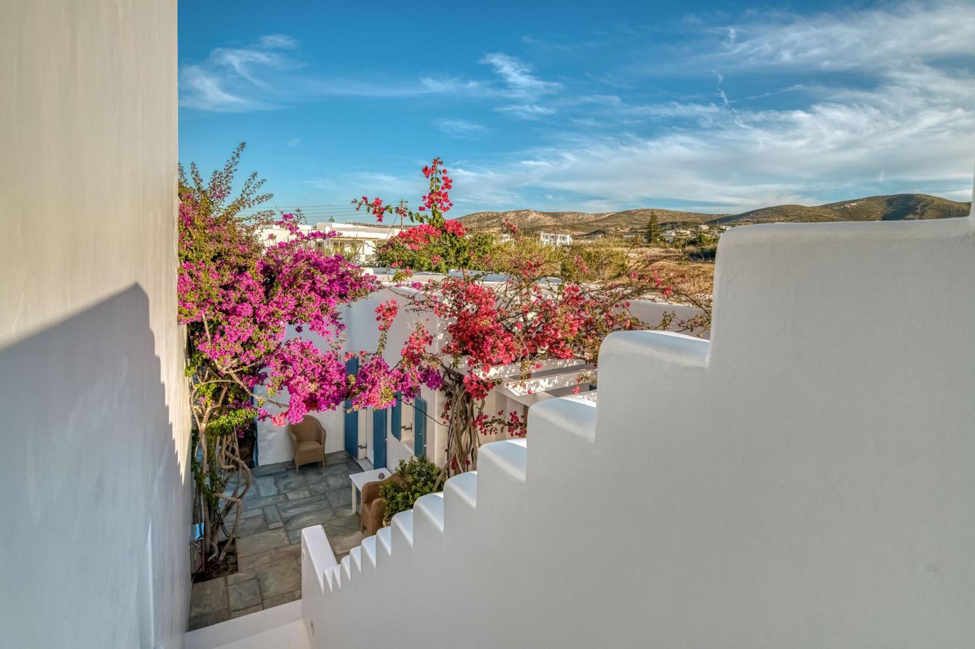 Villa Bellonia Zambujeira do Mar Dış mekan fotoğraf