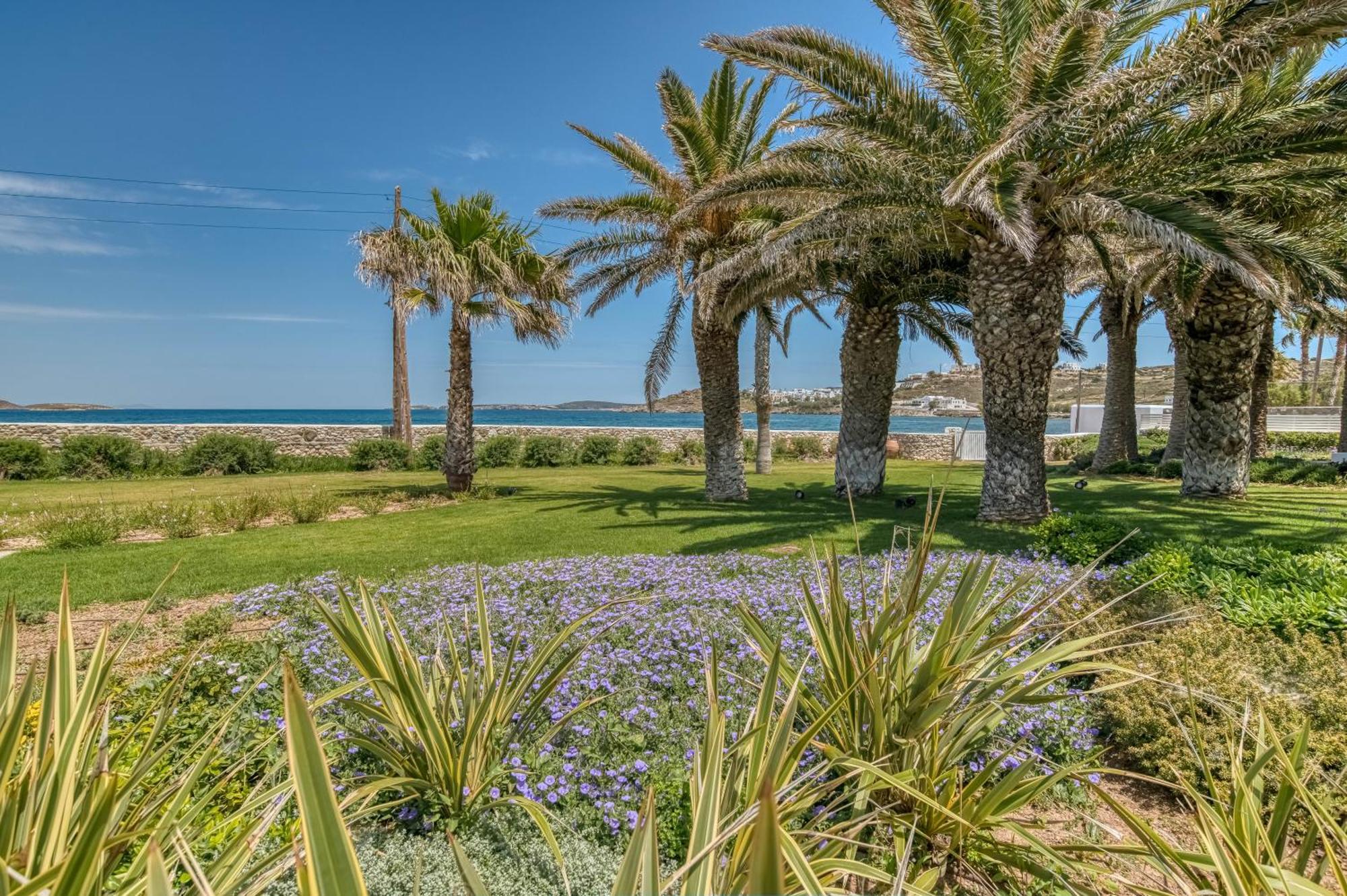 Villa Bellonia Zambujeira do Mar Dış mekan fotoğraf