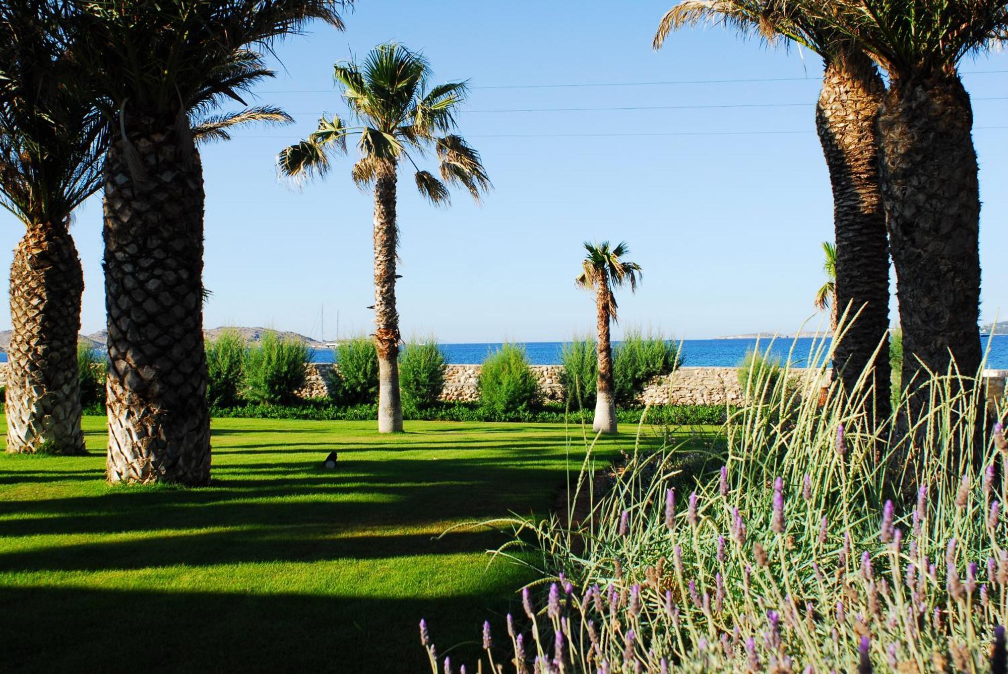 Villa Bellonia Zambujeira do Mar Dış mekan fotoğraf